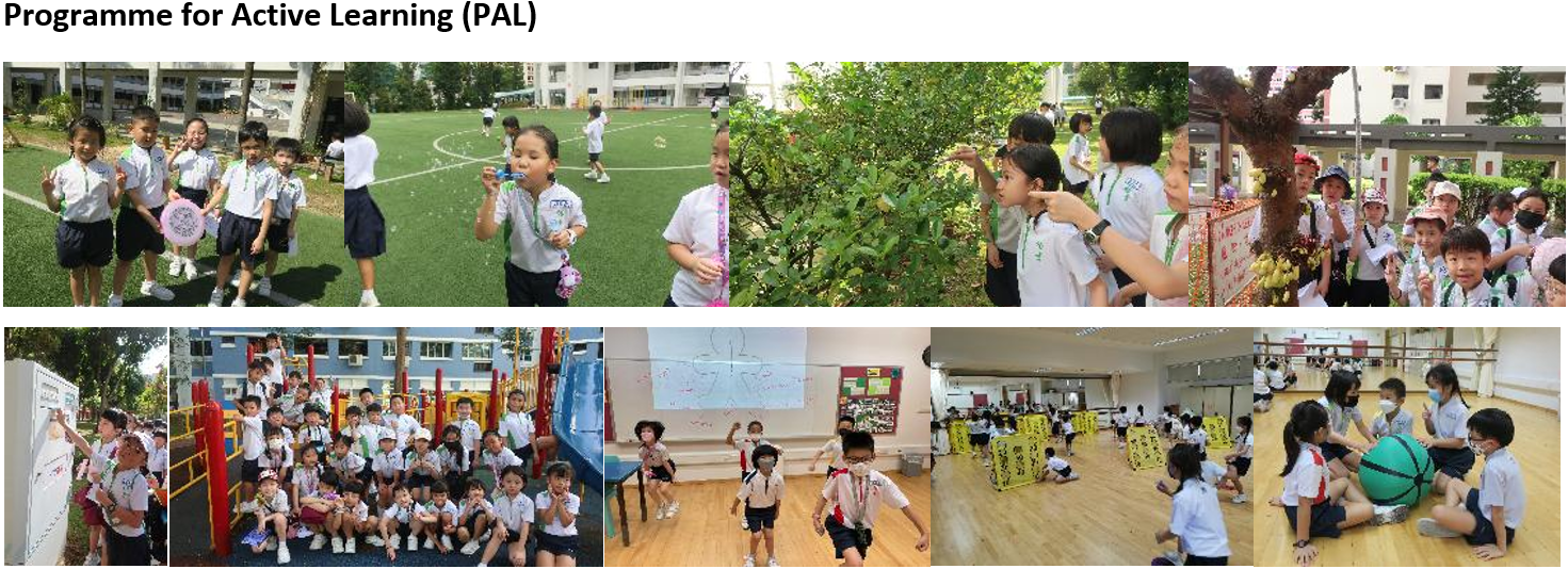 Programme for Active Learning (PAL)